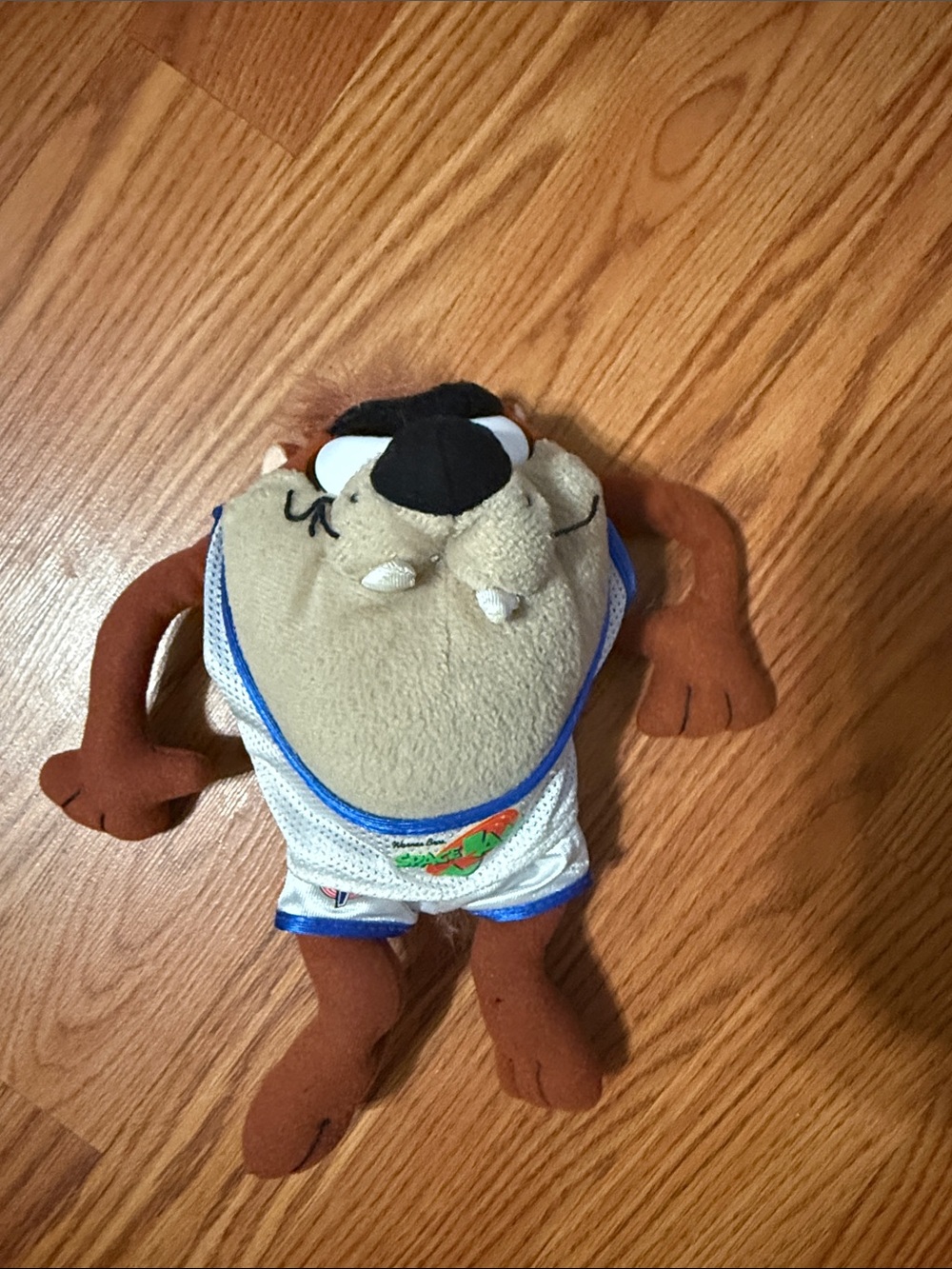 Vintage 1999 space jam plush toy